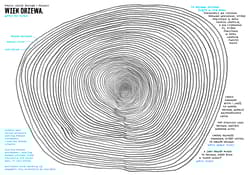 Galeria - zdjęcie nr. 4 - W góry! w.3