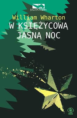 W księżycową jasną noc - ebook