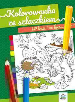 W lesie i na łące. Kolorowanka ze szlaczkiem - Natalia Logvanova