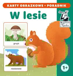 W lesie (karty obrazkowe + poradnik)