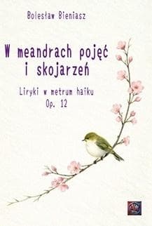 W meandrach pojęć i skojarzeń - Bolesław Bieniasz