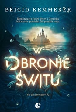 W obronie świtu - Brigid Kemmerer