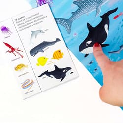 Galeria - zdjęcie nr. 4 - W oceanie. Ćwiczymy spostrzegawczość 18 mies.+ Pierwsza ekoksiążeczka Twojego Dziecka