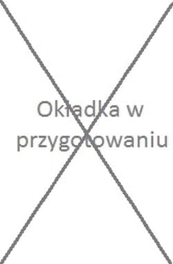 W poszukiwaniu granic Ameryki