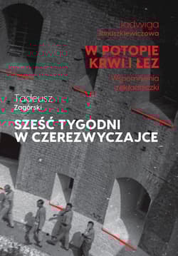 W potopie krwi i łez. Sześć tygodni w czerezwyczajce - Jadwiga Januszkiewiczowa