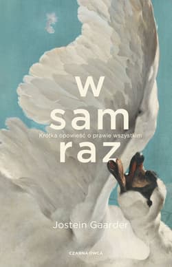 W sam raz - ebook - Jostein Gaarder