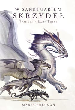 W Sanktuarium Skrzydeł - ebook - Marie Brennan