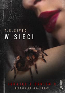 W sieci. Igrając z ogniem 3 - ebook - Sivec Tara
