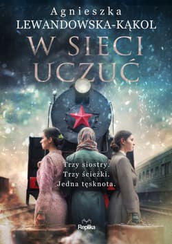 W sieci uczuć - ebook - Agnieszka Lewandowska-Kąkol