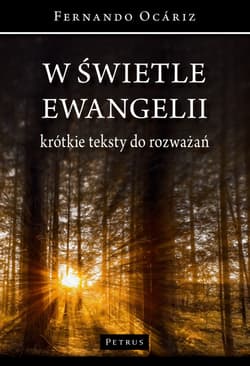 W świetle ewangelii. Krótkie teksty do rozważań