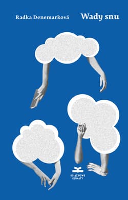 Wady snu Trzydzieści mrugnięć oka - Radka Denemarková