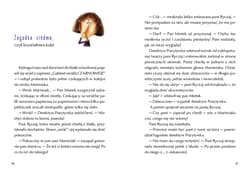 Galeria - zdjęcie nr. 5 - Wakacje detektywa Pozytywki