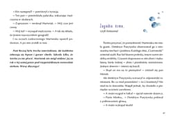 Galeria - zdjęcie nr. 3 - Wakacje detektywa Pozytywki