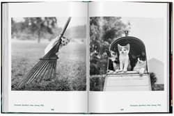 Galeria - zdjęcie nr. 2 - Walter Chandoha. Cats. Photographs 1942-2018 wer. angielska