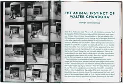 Galeria - zdjęcie nr. 2 - Walter Chandoha. Cats. Photographs 1942-2018 wer. angielska