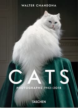 Walter Chandoha. Cats. Photographs 1942-2018 wer. angielska - Michals Susan