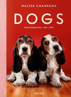 Walter Chandoha. Dogs. Photographs 1941–1991 wer. angielska - Walter Chandoha., Golden Reuel