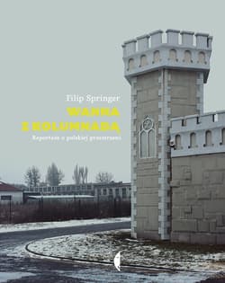 Wanna z kolumnadą - ebook - Filip Springer
