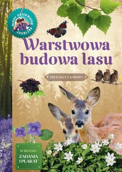 Warstwowa budowa lasu - Artur Sawicki