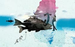 Galeria - zdjęcie nr. 3 - Warszawiacy