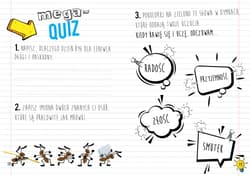 Galeria - zdjęcie nr. 3 - Wartości i wskazówki dla mądrej główki