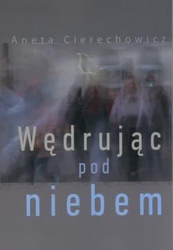 Wędrując pod niebem - Aneta Cierechowicz