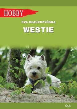 Westie West highland white terrier - Eva Błaszczyńska
