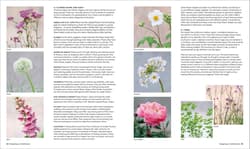 Galeria - zdjęcie nr. 5 - What Grows Together