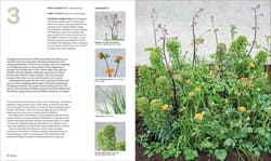 Galeria - zdjęcie nr. 3 - What Grows Together