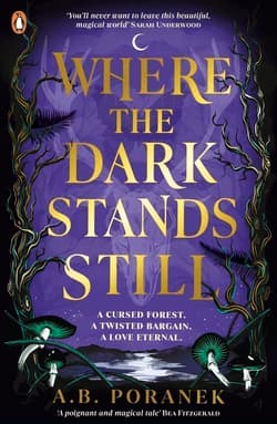 Where the dark stands still wer. angielska - A.B. Poranek