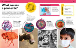 Galeria - zdjęcie nr. 2 - Why? Encyclopedia. Brilliant Answers to Baffling Questions wer. angielska