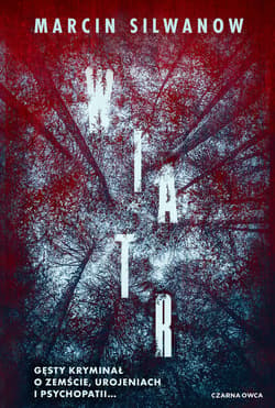 Wiatr - ebook - Marcin Silwanow