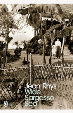 Wide Sargasso Sea wer. angielska - Jean Rhys