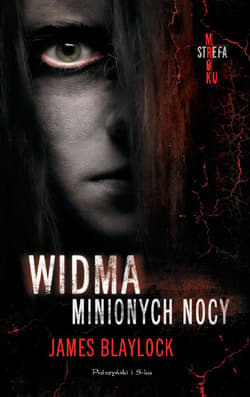 Widma minionych nocy - ebook - James Blaylock