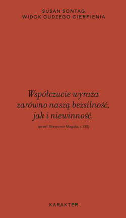 Widok cudzego cierpienia - ebook