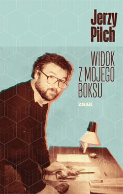 Widok z mojego boksu - ebook - Jerzy Pilch