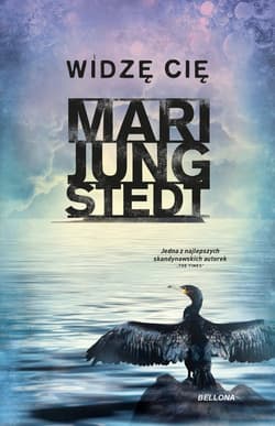 Widzę cię - Jungstedt Mari
