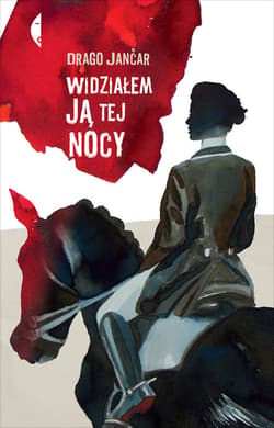 Widziałem ją tej nocy - ebook - Drago Jančar