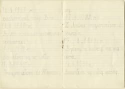 Galeria - zdjęcie nr. 2 - Widziałem pięknego dzięcioła