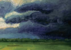 Galeria - zdjęcie nr. 3 - Widziałem pięknego dzięcioła