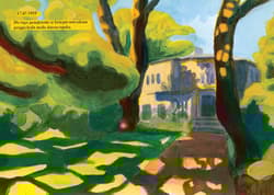 Galeria - zdjęcie nr. 4 - Widziałem pięknego dzięcioła