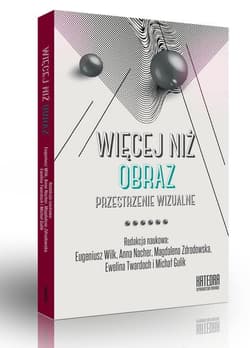 Więcej niż obraz Tom 2 Przestrzenie wizualne - Anna Nacher