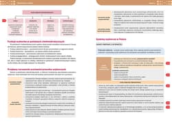 Galeria - zdjęcie nr. 2 - Wiedza o społeczeństwie. Repetytorium liceum/technikum