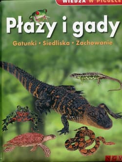 Wiedza w pigułce Płazy i gady