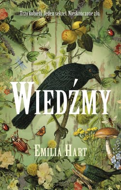 Wiedźmy - ebook