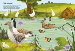 Galeria - zdjęcie nr. 3 - Wiejska zagroda. Poznajemy zwierzęta