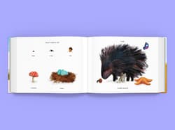 Galeria - zdjęcie nr. 2 - Większy niż trzmiel