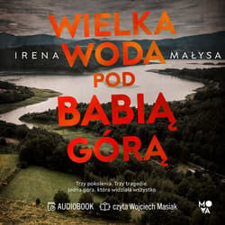 Wielka woda pod Babią Górą. Baśka Zajda. Tom 6 - audiobook - Irena Małysa
