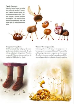 Galeria - zdjęcie nr. 4 - Wielki atlas małych przyjemności