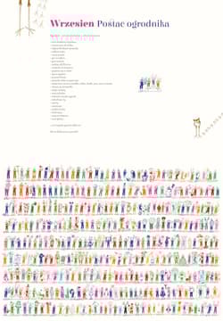 Galeria - zdjęcie nr. 4 - Wielki ogród